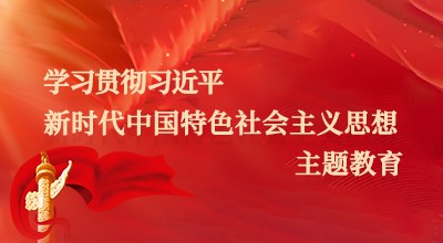 學(xué)習(xí)貫徹習(xí)近平新時(shí)代中國特色社會主義思想主題教育